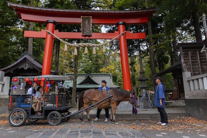 Horse Carriage Ride with Mt. Fuji Views — photo 4