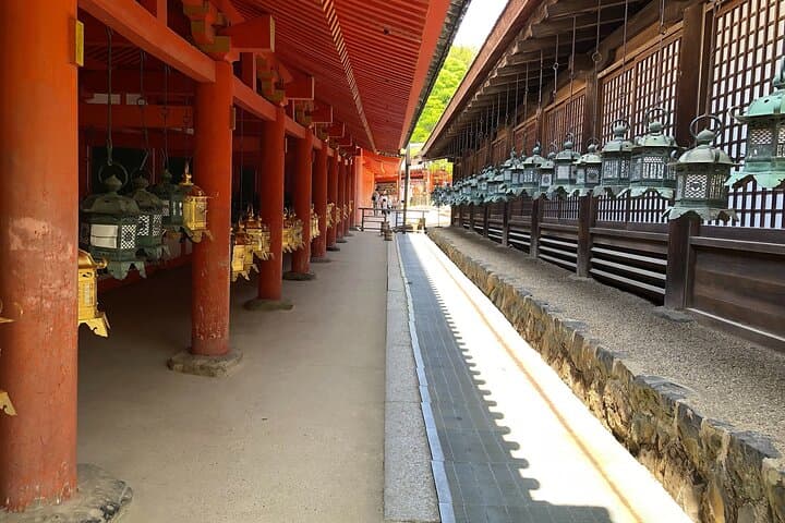 Nara Todaiji Kasuga Taisha Private Full Day Tour From Kyoto — photo 16