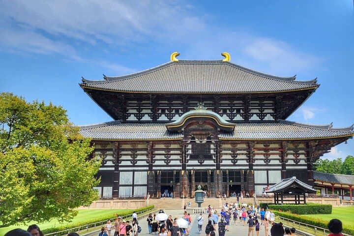 Nara Todaiji Kasuga Taisha Private Full Day Tour From Kyoto — photo 7