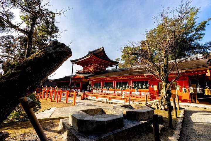 Nara Todaiji Kasuga Taisha Private Full Day Tour From Kyoto — photo 8