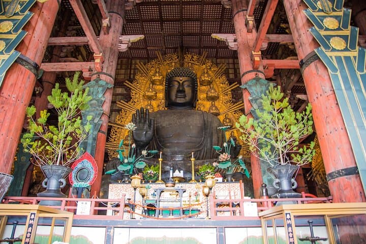 Nara Todaiji Kasuga Taisha Private Full Day Tour From Kyoto — photo 10