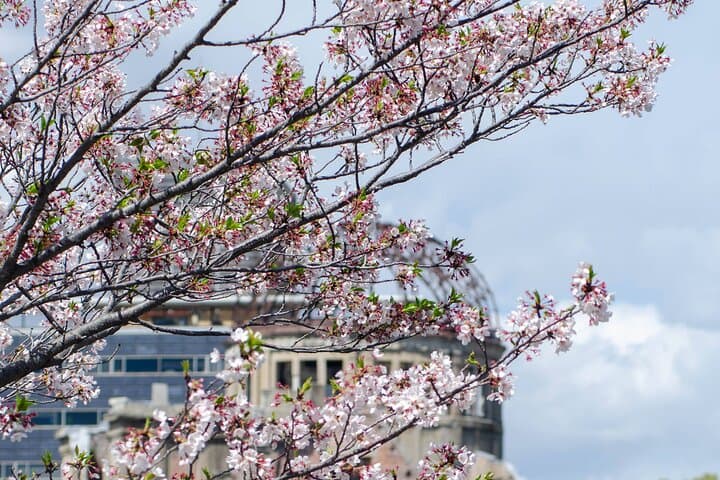 Hiroshima and Miyajima Private Guided Tour — photo 13