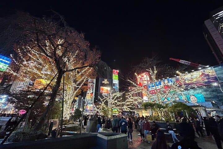 4 Hours Shibuya - Shinjuku Night Tour — photo 5