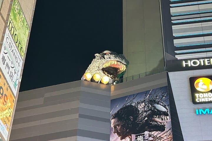 Explore Shinjuku by Night — photo 9