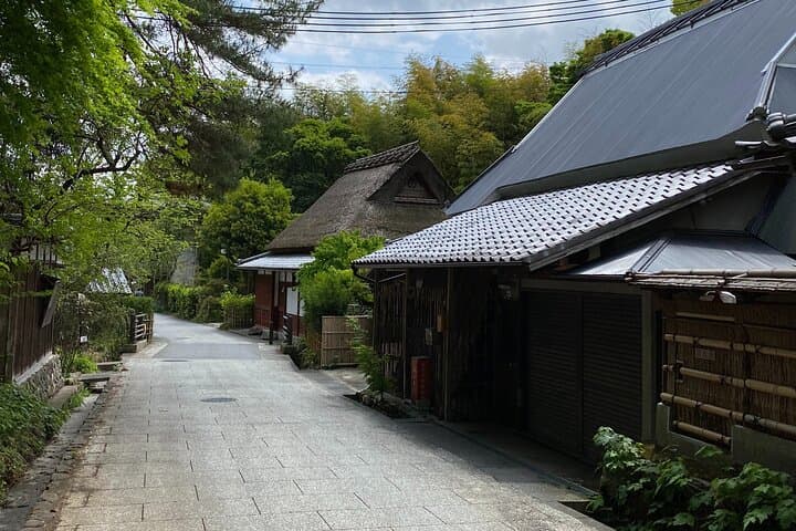 Kyoto: Arashiyama Backstreet & Hidden Temple Guided Tour — photo 6