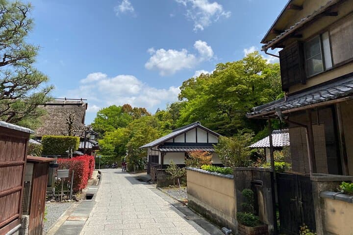 Kyoto: Arashiyama Backstreet & Hidden Temple Guided Tour — photo 16