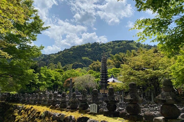 Kyoto: Arashiyama Backstreet & Hidden Temple Guided Tour — photo 17