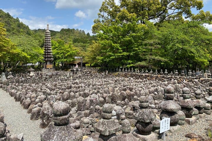 Kyoto: Arashiyama Backstreet & Hidden Temple Guided Tour — photo 9