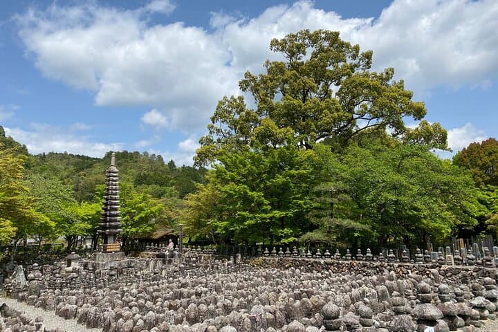 Kyoto: Arashiyama Backstreet & Hidden Temple Guided Tour — photo 18