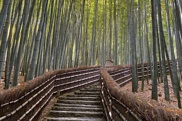 Kyoto: Arashiyama Backstreet & Hidden Temple Guided Tour — photo 10