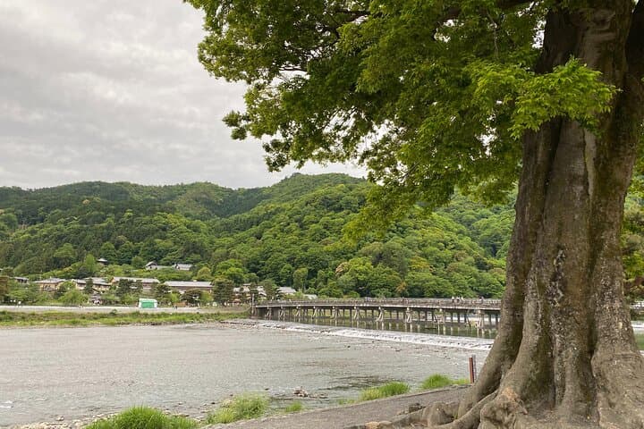 Kyoto: Arashiyama Backstreet & Hidden Temple Guided Tour — photo 8
