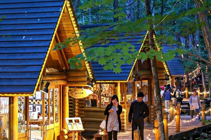 Hokkaido Asahiyama Zoo, Biei & Ningle Terrace Day Tour | Hokkaido — photo 3