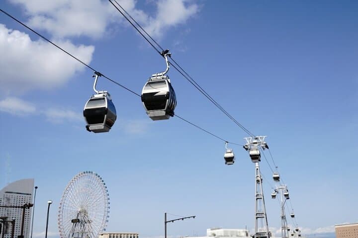 Tokyo: Yokohama Day and Night Tour with English Speaking Driver — photo 5