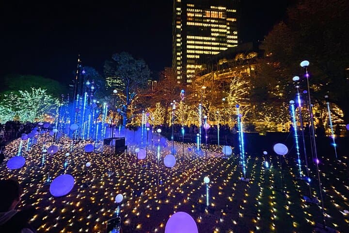Tokyo: 2-Hour Night E-Bike Tour of the City's Hidden Gems — photo 14