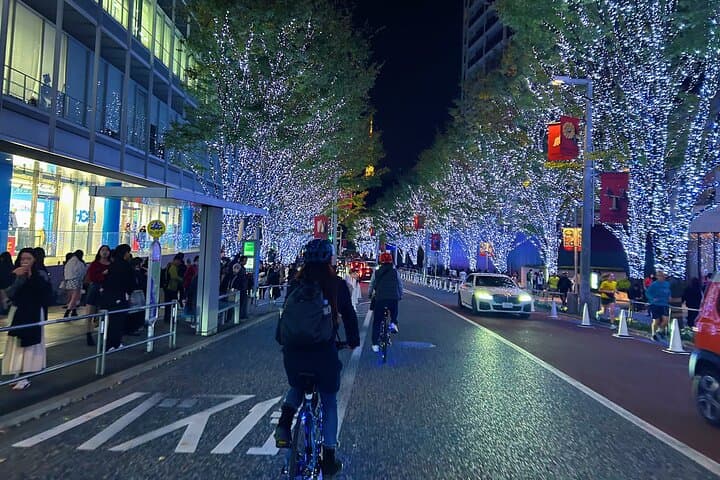 Tokyo: 2-Hour Night E-Bike Tour of the City's Hidden Gems — photo 13