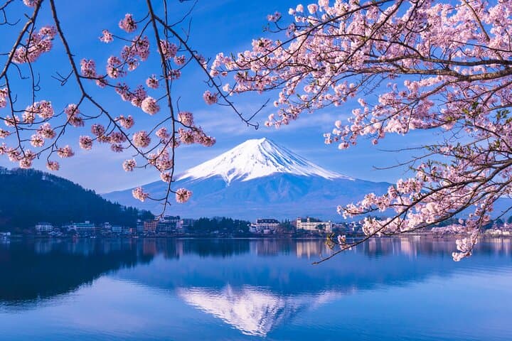 One Way Bus: Tokyo to Kawaguchiko or Matsumoto via Oshino Hakkai — photo 1