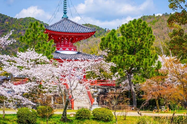 Hidden Temples in Kyoto a Self-Guided Zen Tour — photo 2
