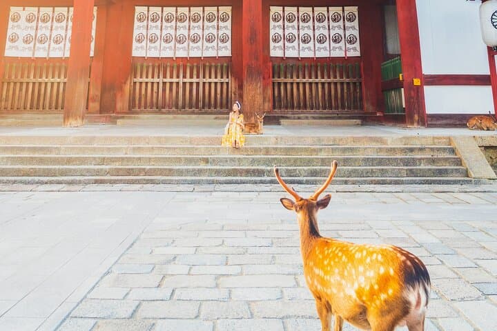 Hidden Temples in Kyoto a Self-Guided Zen Tour — photo 9