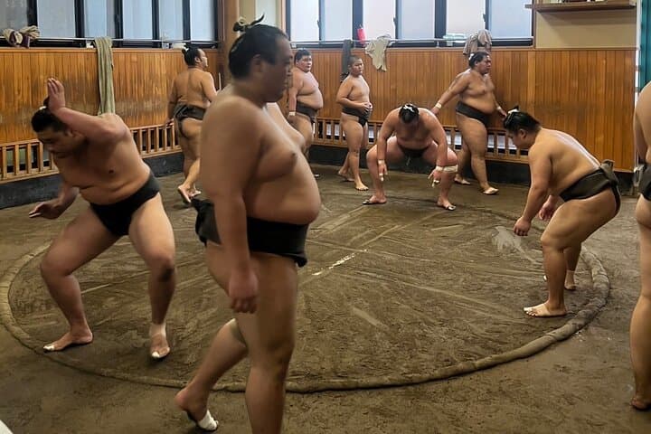Chair Seat Guaranteed SUMO Practice +Photo +Culture Option — photo 15
