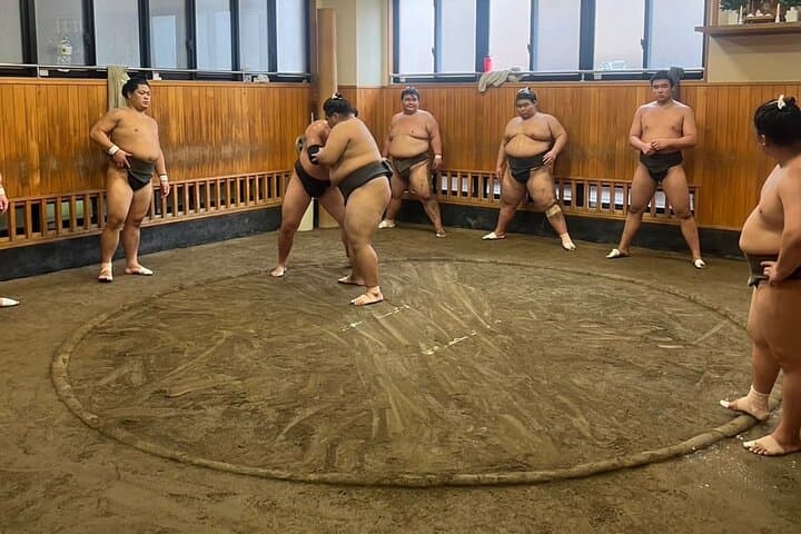 Chair Seat Guaranteed SUMO Practice +Photo +Culture Option — photo 16