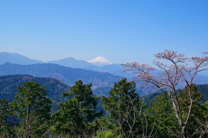 Walking Tour Mount Takao : Nature and Tradition in Tokyo — photo 8