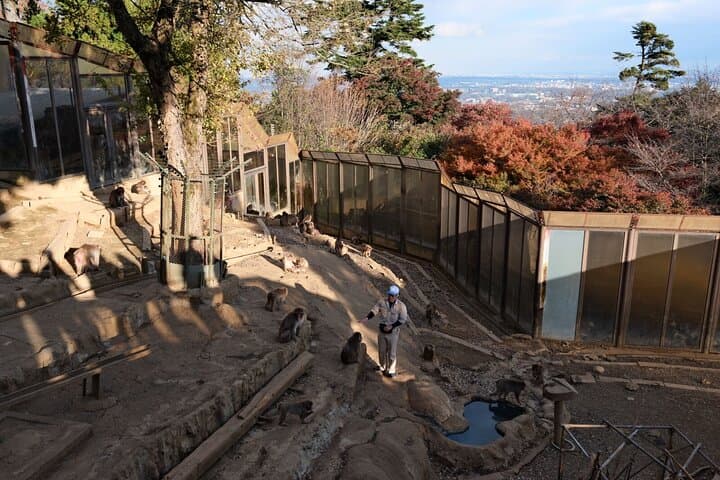 Walking Tour Mount Takao : Nature and Tradition in Tokyo — photo 12