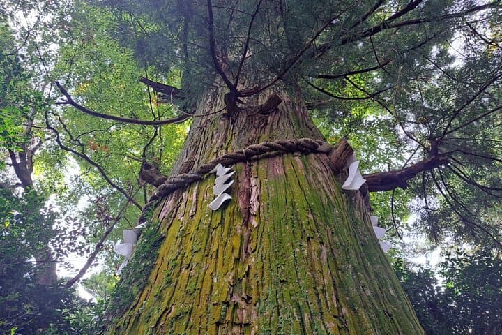 Walking Tour Mount Takao : Nature and Tradition in Tokyo — photo 15