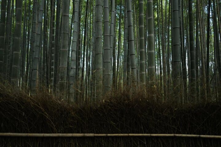 Kyoto Early Morning Tour with Korean Speaking Guide — photo 6