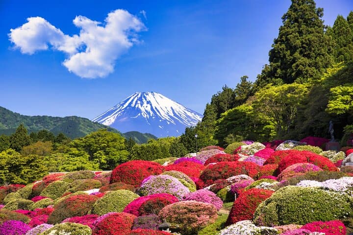 1 Day Private Tokyo to Hakone Gotemba Fuji Tour — photo 2