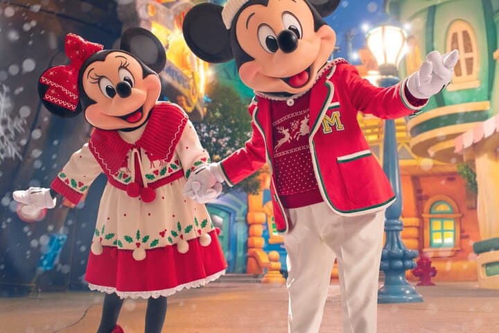 Tokyo Disneyland Ticket & Optional Tokyo Subway Pass — photo 7