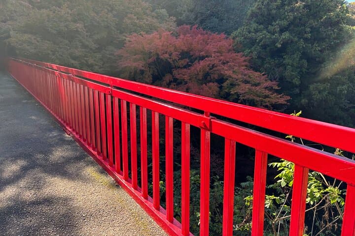Overlooking the magnificent view of Osaka — photo 6