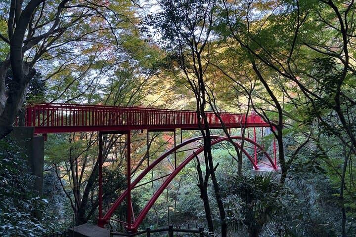Overlooking the magnificent view of Osaka — photo 7