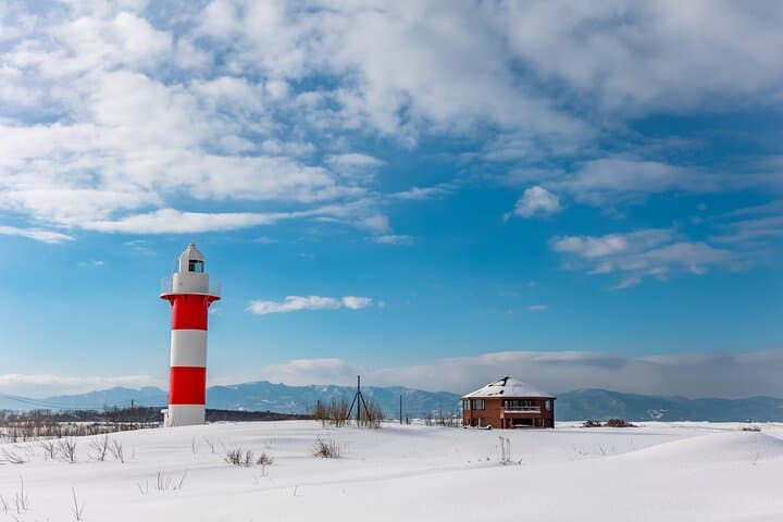 Winter Coastal Scenic Snowshoeing Experience. — photo 3