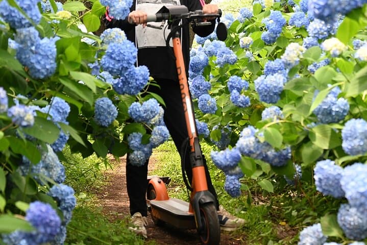 Electric Scooter&Bike Rental in Okinawa — photo 3