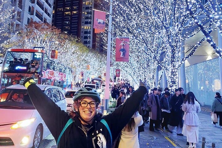 Tokyo Winter Illumination Ebike Tour — photo 3