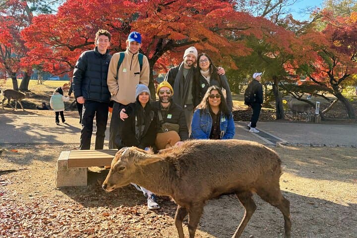 World Heritage Kyoto & Nara Uji Authentic Matcha Experience — photo 4