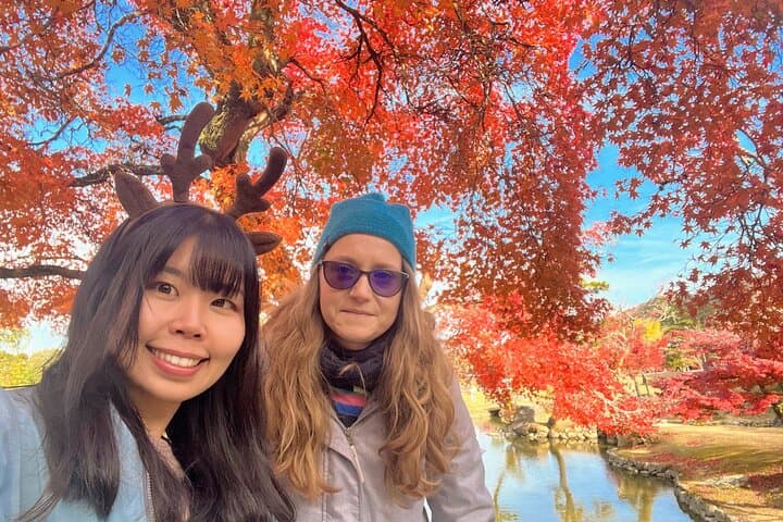 World Heritage Kyoto & Nara Uji Authentic Matcha Experience — photo 8