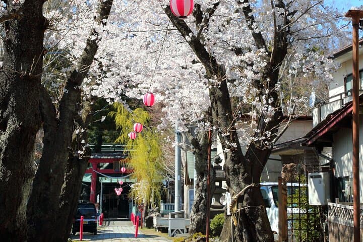 Yabusame Adventure with Mt. Fuji Views — photo 6