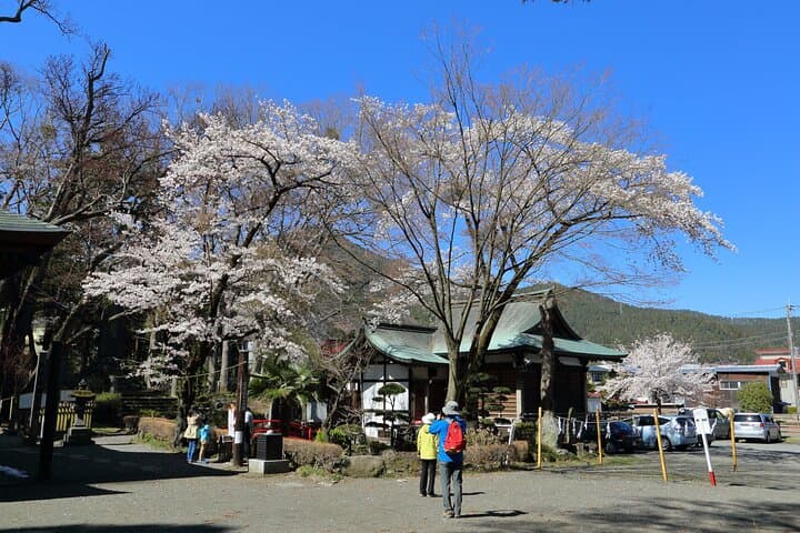 Yabusame Adventure with Mt. Fuji Views — photo 8