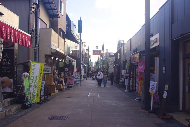 Kamkura: Private Zazen, Matcha at Bamboo Temple & Mindful Cuisine — photo 19