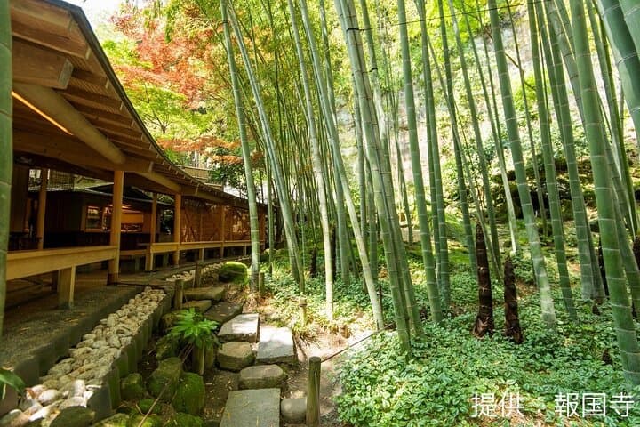 Kamkura: Private Zazen, Matcha at Bamboo Temple & Mindful Cuisine — photo 5