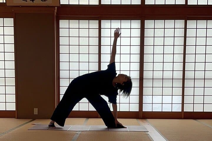 Kyoto: Temple Yoga, Tour of Four Spring Waters & Nourishing Lunch — photo 18