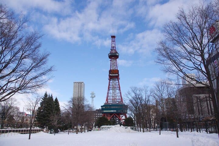 Sapporo Full-Day Tour by Minivan — photo 4