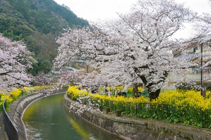 Kyoto Osaka to Lake Biwa Private Day Tour — photo 2