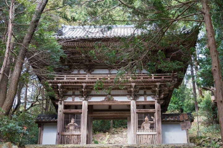 Kyoto Osaka to Lake Biwa Private Day Tour — photo 8