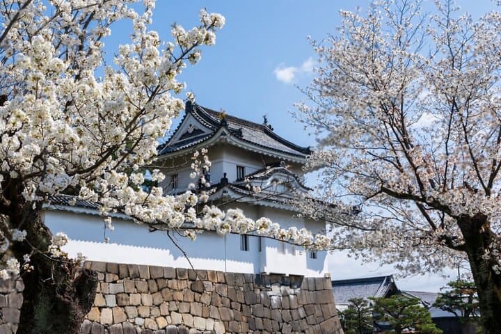 Kyoto Osaka to Lake Biwa Private Day Tour — photo 6