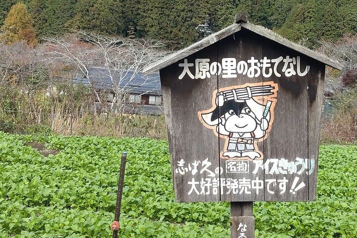 Walking Tour in Ohara Discover the Tranquil Beauty of Kyoto — photo 2