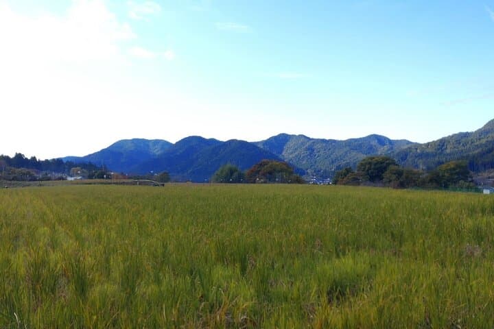 Walking Tour in Ohara Discover the Tranquil Beauty of Kyoto — photo 5