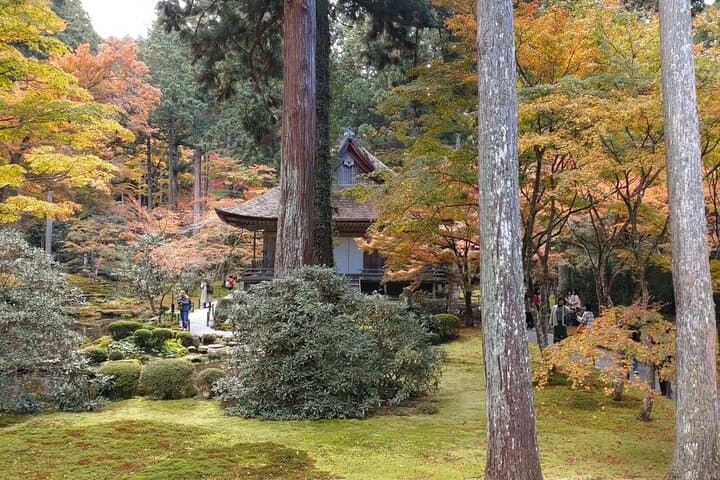 Walking Tour in Ohara Discover the Tranquil Beauty of Kyoto — photo 7
