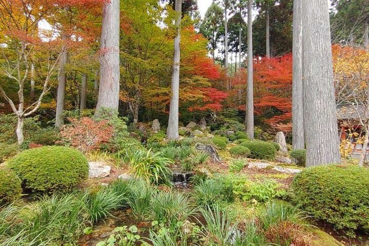 Walking Tour in Ohara Discover the Tranquil Beauty of Kyoto — photo 8